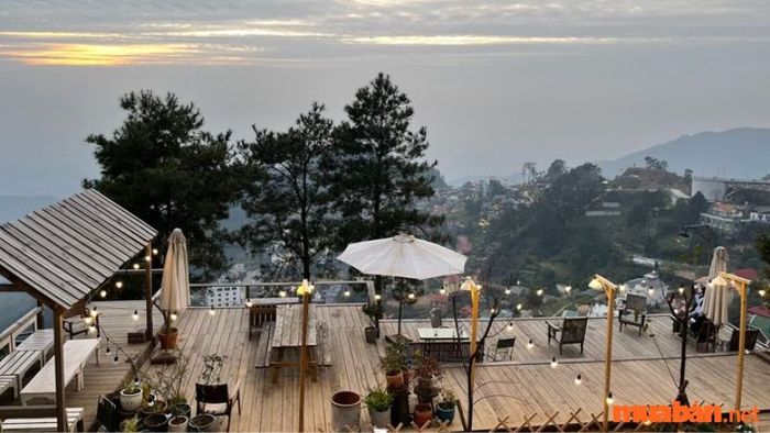 Tiệm Cafe Cỏ Lạ là nơi lý tưởng để thư giãn và check-in tại Tam Đảo