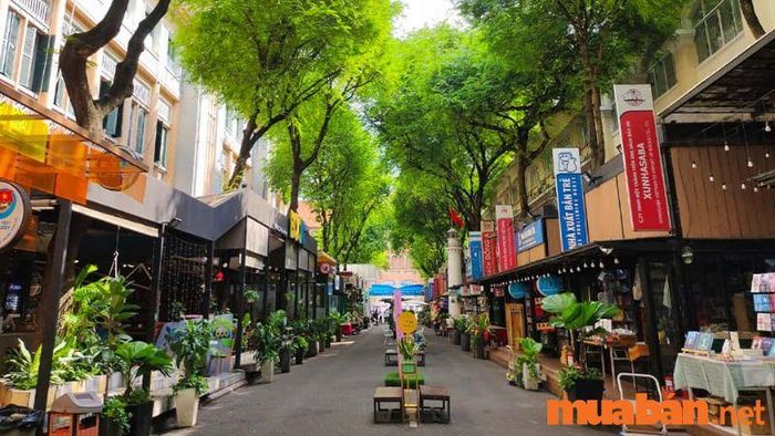 Đường sách Nguyễn Văn Bình nổi bật với không gian sống ảo yên bình (Nguồn ảnh: Sưu tầm)