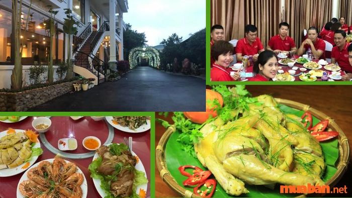 Nhà hàng An Phát có phong cách rất ấn tượng