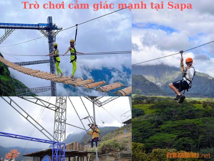 Trò chơi cảm giác mạnh hấp dẫn tại Sapa