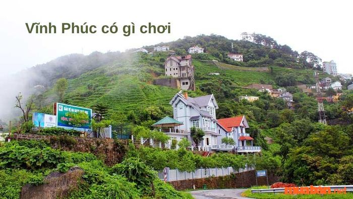 Vĩnh Phúc có gì thú vị