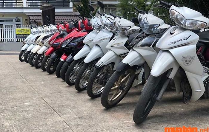 Ngọc Tiến có dịch vụ cho thuê xe máy giao tận nơi cho bạn