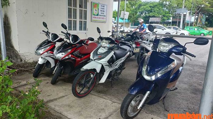 Cửa hàng cho thuê xe máy Phan Thiết Thanh Lâm cung cấp nhiều loại xe với số lượng phong phú