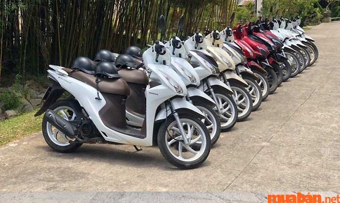 Xe máy của Hoàng Hiếu còn rất mới, hoạt động mạnh mẽ và ít xảy ra hư hỏng