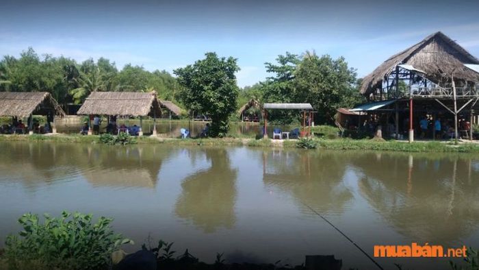 Điểm đến cuối cùng Mytour muốn giới thiệu đến bạn là khu câu cá Út Phương. Đây là nơi lý tưởng cho những ai tìm kiếm khung cảnh yên bình của làng quê, tĩnh lặng và hấp dẫn với các hoạt động dân dã, là lựa chọn hoàn hảo cho kỳ nghỉ dưỡng của bạn.