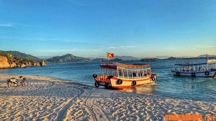 Di chuyển đến đảo Bình Hưng