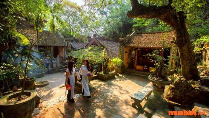 Vĩnh Phúc có gì thú vị? Làng cổ Đường Lâm