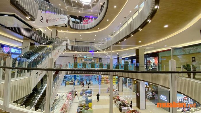 Bình Tân có những hoạt động gì thú vị?