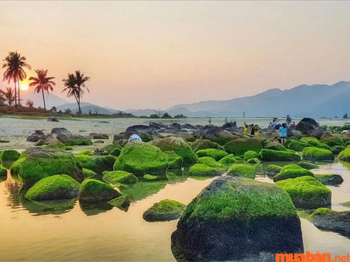 Bãi biển Nam Ô