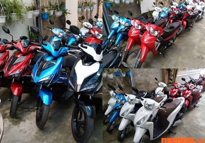 Cửa hàng Thanh Phong sở hữu nhiều mẫu xe mới