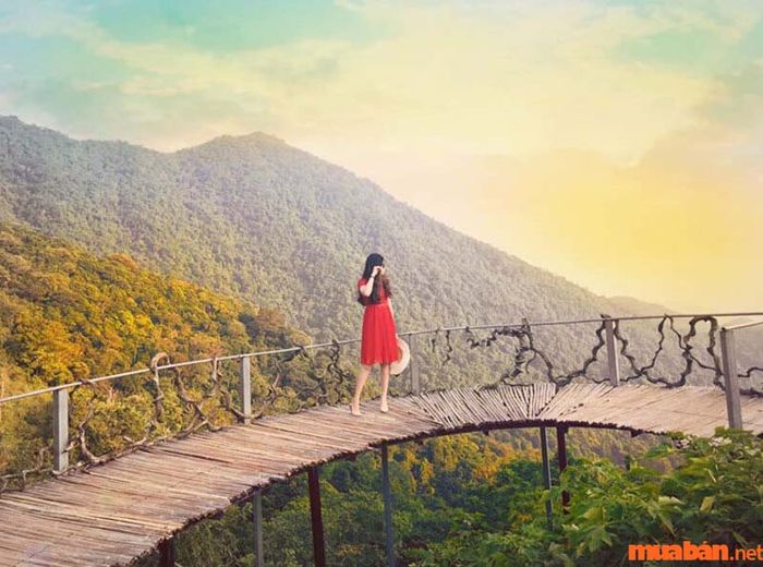 Vĩnh Phúc có gì thú vị? Cầu Mây Tam Đảo