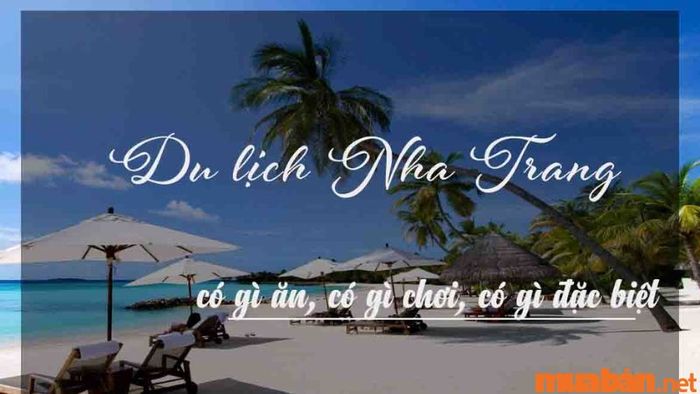 Tại sao bạn nên chọn Nha Trang cho chuyến du lịch?