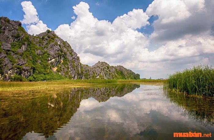 Vĩnh Phúc có gì thú vị? Đầm Rưng