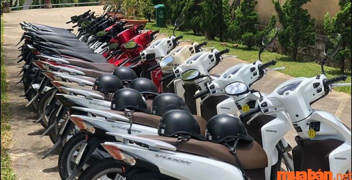 Cửa hàng cho thuê xe máy ở Mũi Né sở hữu nhiều dòng xe đời mới