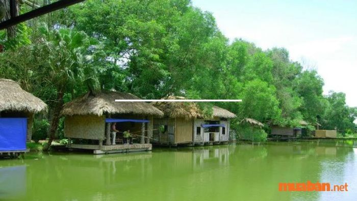 Khi đến khu du lịch câu cá Út Phương, du khách sẽ có những giây phút câu cá tuyệt vời, ngồi trong các mái chòi lợp lá, với không gian thoáng đãng chỉ dành cho bạn.