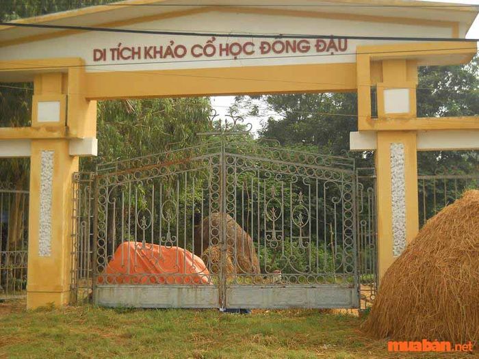 Vĩnh Phúc có gì thú vị? Di tích khảo cổ Học Đồng Đậu