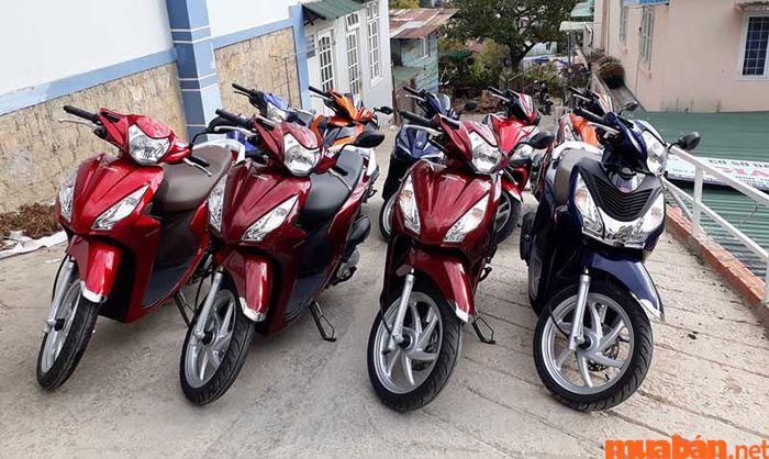 Bạn có thể dễ dàng thuê xe máy Nhi Nguyễn ngay gần bãi biển Hàm Tiến
