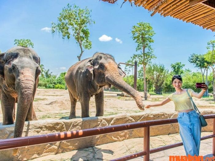 Bãi Biển Thanh Bình Đà Nẵng