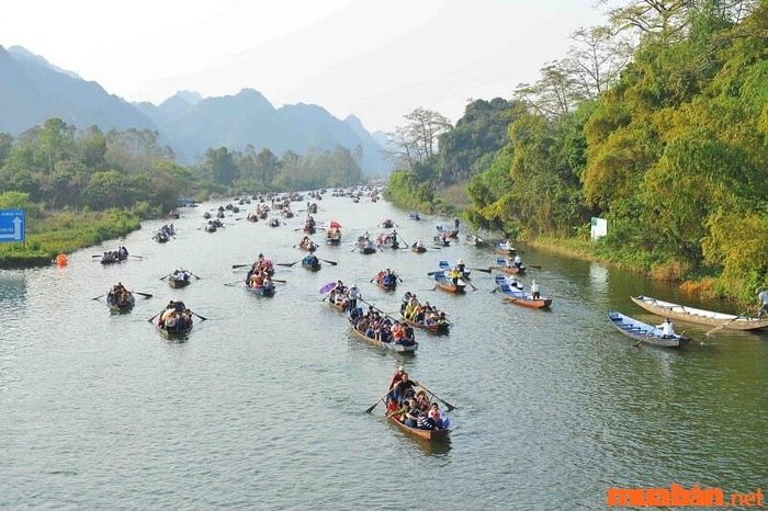 Giá vé đò là 50.000 VNĐ/người.