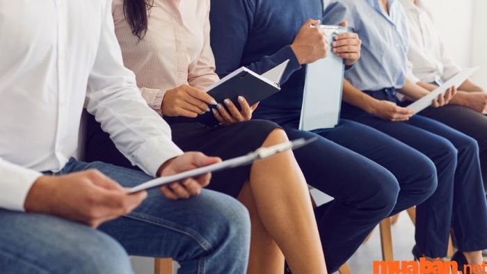 Bạn đã có những kinh nghiệm gì trong lĩnh vực kinh doanh?