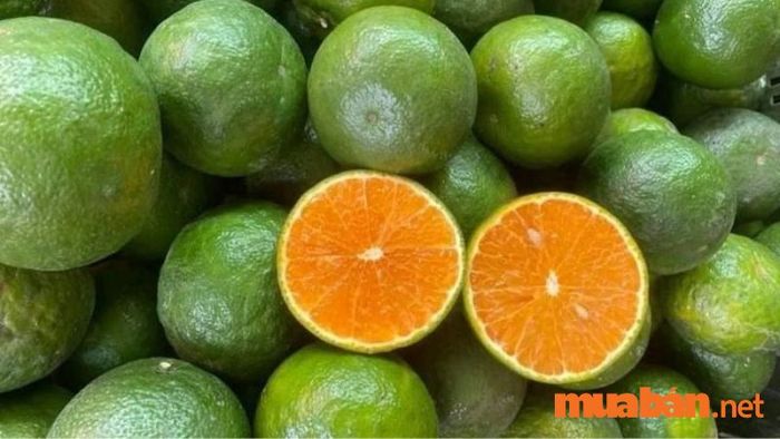 Cam sành Ngã Bảy là đặc sản Hậu Giang đáng để bạn lựa chọn làm quà biếu.