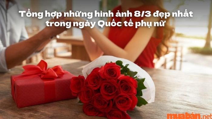 Những bức ảnh 8/3 đẹp nhất