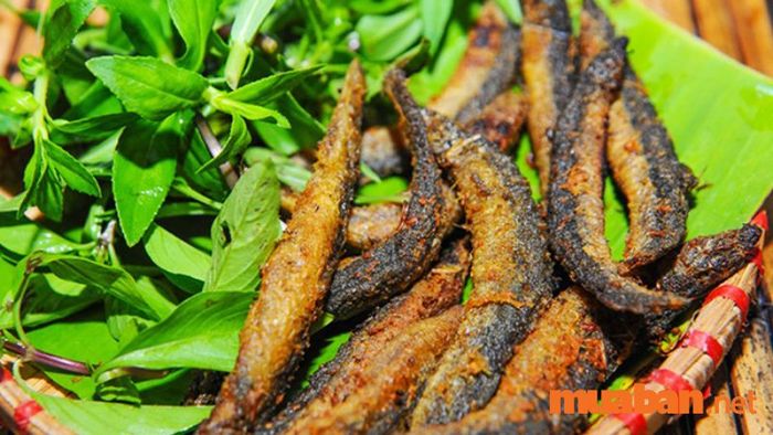 Lựa chọn khô cá chạch, đặc sản Hậu Giang, làm quà thì thật sự không có gì tuyệt hơn.