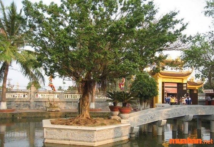 Đền Trình tọa lạc trên núi Ngũ Nhạc.