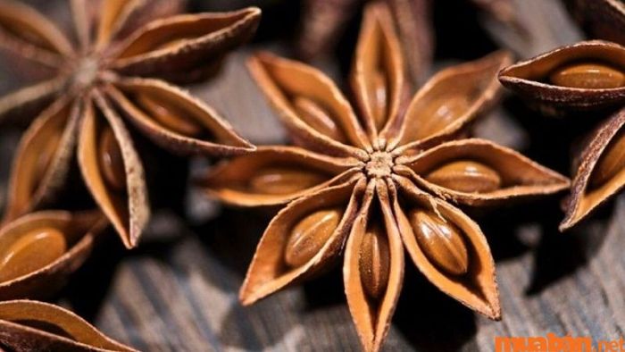 Hoa hồi xứ Lạng, một gia vị nổi tiếng và được nhiều người biết đến.