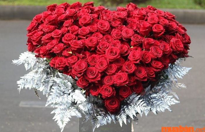 Ý nghĩa của 99 bông hoa hồng