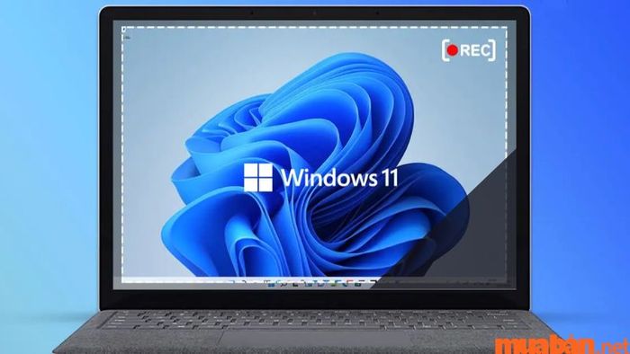 Nguyên nhân gây ra tình trạng màn hình laptop tối ở một góc