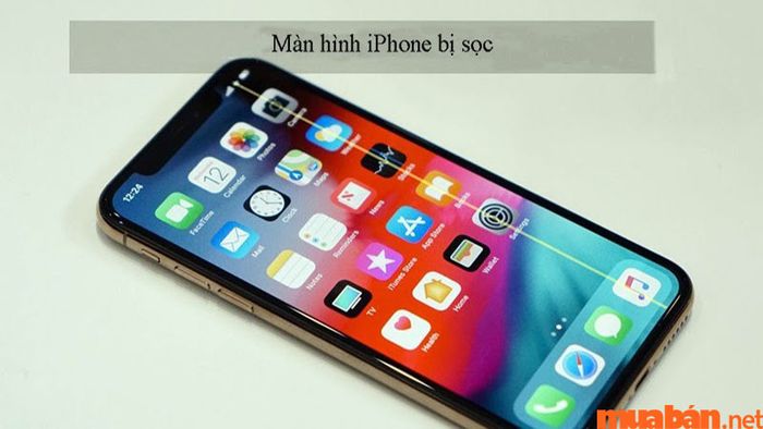 Phương pháp khắc phục màn hình iPhone 11 bị sọc