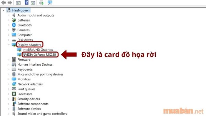 Card đồ họa rời trong mục Display adapters.