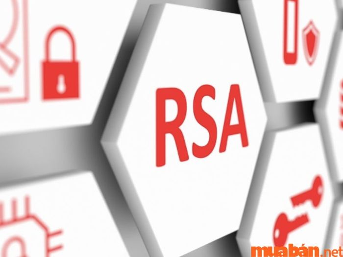 RSA được ứng dụng khi nào?