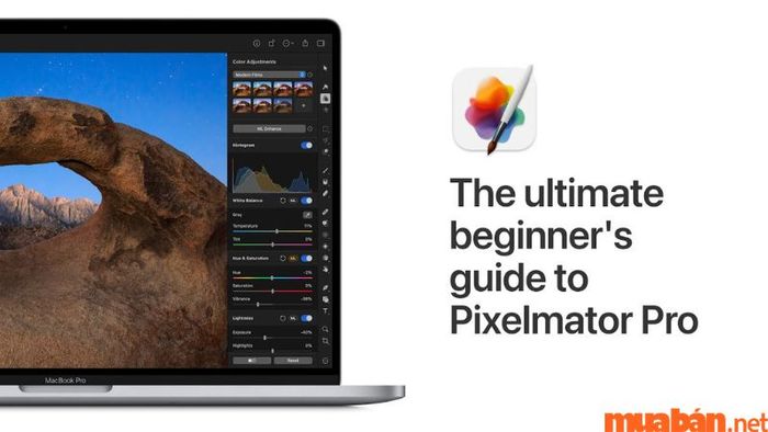 App Pixelmator