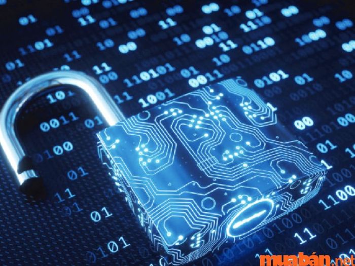 Quá trình sinh khóa cho hệ thống mã hóa RSA