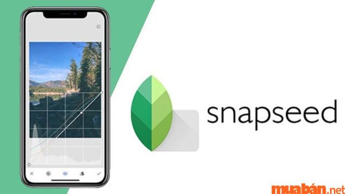 Snapseed là ứng dụng xóa người và chỉnh sửa ảnh chuyên nghiệp