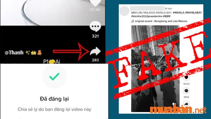 Tại sao video TikTok không có lượt xem - Do đăng lại video của người khác