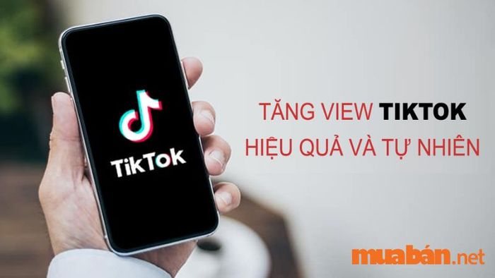 Video có nhiều lượt xem là ước muốn của tất cả người dùng TikTok