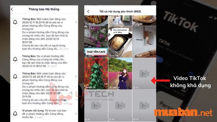 Tại sao video TikTok không có lượt xem - Do vi phạm quy định của TikTok