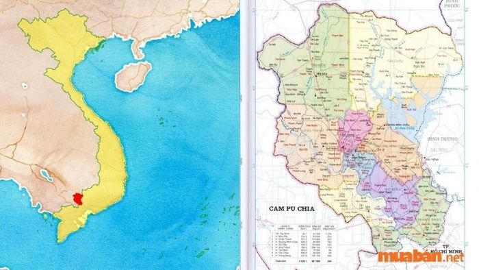 Tỉnh Tây Ninh hiện có tổng cộng 9 đơn vị hành chính cấp huyện