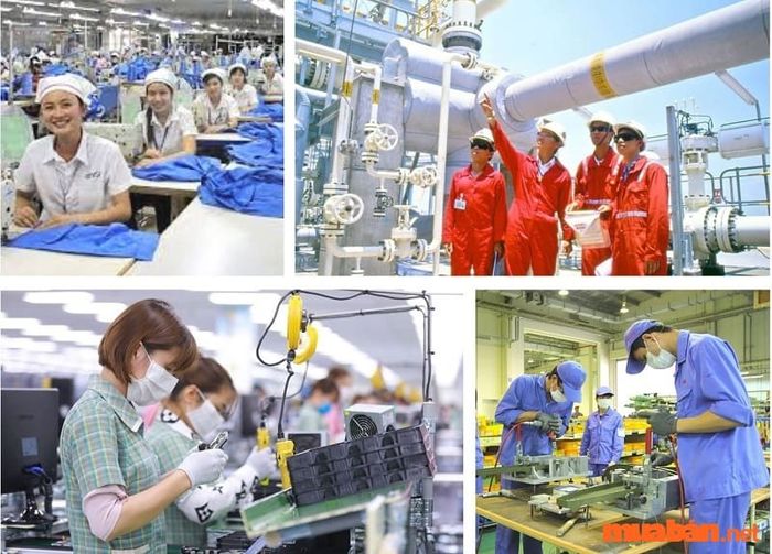 Tác động tích cực từ sự phát triển của các đô thị nước ta hiện nay chính là thị trường việc làm trở nên sôi động.
