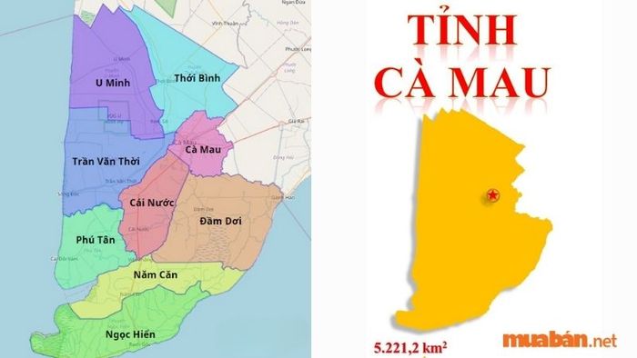 Tỉnh Cà Mau bao gồm thành phố Cà Mau và 8
