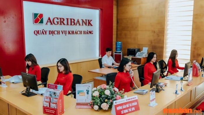 Các gói vay tại ngân hàng nông nghiệp
