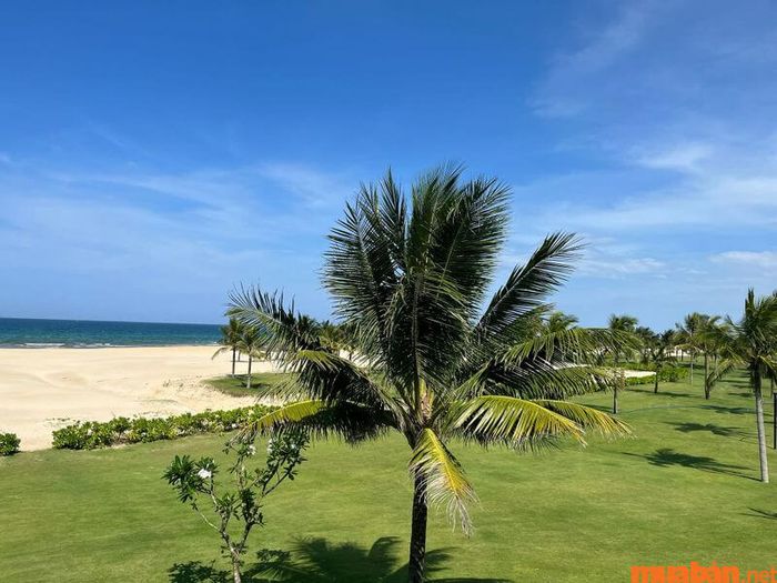 Đất ngộp là gì?
