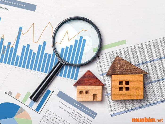 Đất ngộp là gì?