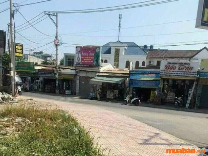 Đất ngộp là gì?