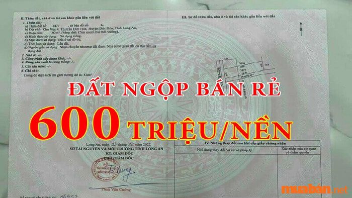 Đất ngộp là gì?