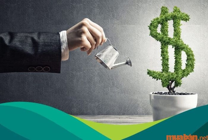 Đầu tư vào căn hộ du lịch là một khoản đầu tư cho tương lai