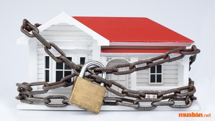 Đất chuyển nhượng không nên bị kê biên quyền sử dụng đất.